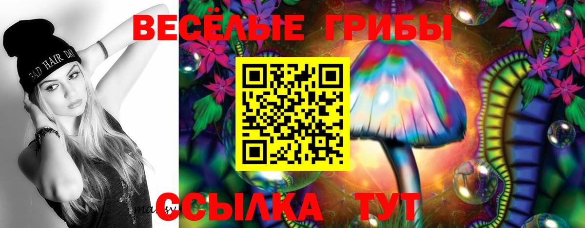 Галлюциногенные грибы Cubensis  Галлюциногенные грибы Psilocybine cubensis  Королёв  Вход с VPN 